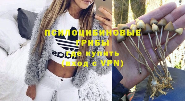 ALPHA PVP Баксан