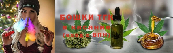молекула духа Балахна
