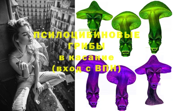 PSILOCYBIN Снежногорск