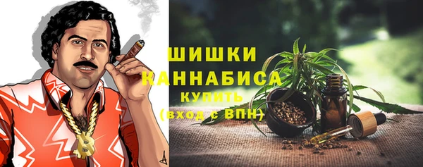 молекула духа Балахна