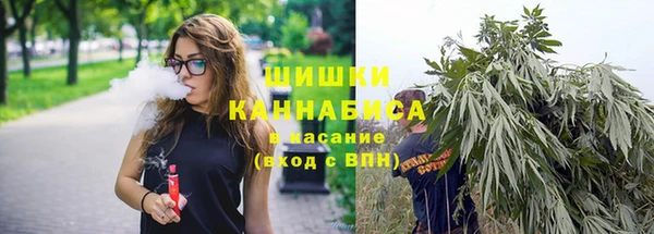 PSILOCYBIN Снежногорск