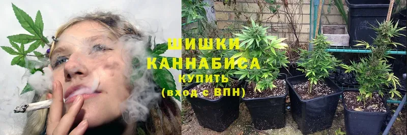 Конопля White Widow  Горнозаводск 